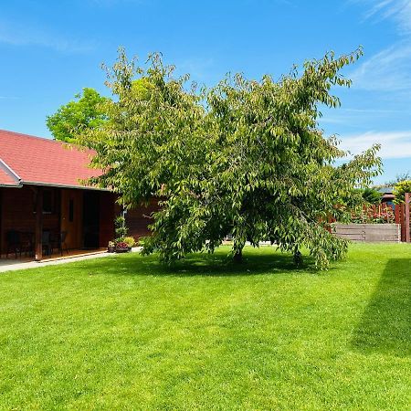 Babett Vendeghaz Villa Zanka Ngoại thất bức ảnh